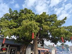 -悦城龙母祖庙