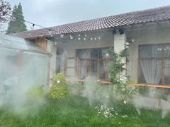 -Jo's Garden