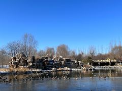 -北京野生动物园