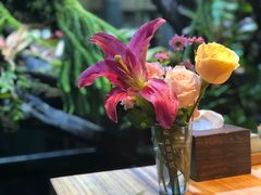 -森味薪火烧•烧鸟居酒屋•日本料理(望京店)