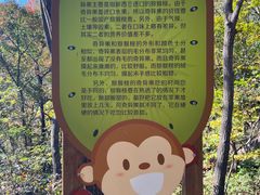 -大岭沟猕猴桃谷风景区