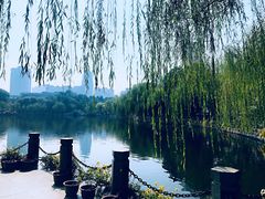 -文瀛公园