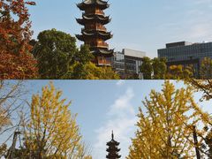 -龙华寺
