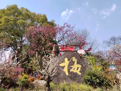 -无锡梅园公园