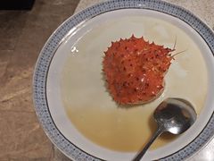 -顺轩海鲜火锅酒家