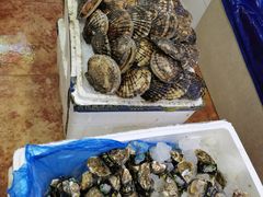 -胶东海鲜大排档(北太平庄店)