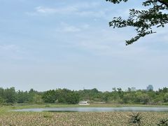 -白鹭湾湿地公园