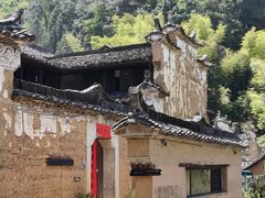 -杨家堂村