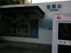 -大宁郁金香公园-停车场