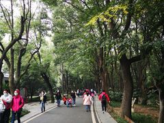 -东湖落雁景区