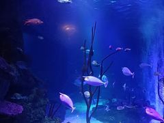 -沈阳海洋探索中心