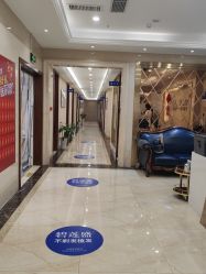 -碧莲盛·不剃发植发