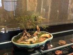 -京梟红茶楼(方恒购物中心店)