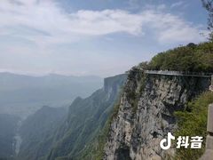 -书亦烧仙草(印象汇都市店)