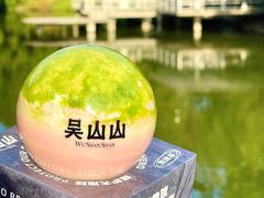 -吴山山·椰子酸奶(天河南店)