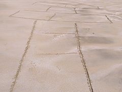 -枸杞岛