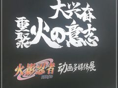 -火影忍者动画多媒体展
