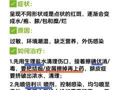 -御宝贝·A梦猫科宠物医院(国际猫友好医院)
