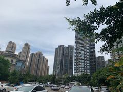 -海合安成都极地海洋公园