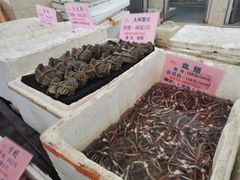 -荔城生鲜盛宴(番禺旗舰店)