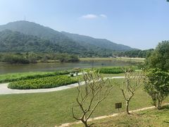 -风云岭森林公园