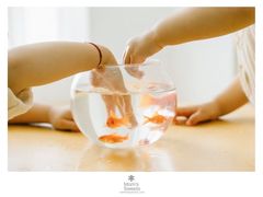 -沈阳百联购物中心(青年大街店)