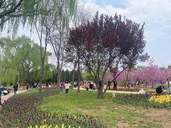 -石家庄市植物园