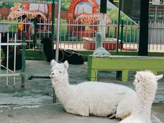 -荆州中山公园动物园