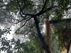 -泉眼温泉
