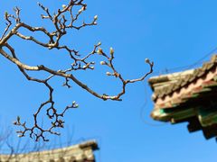 -颐和园