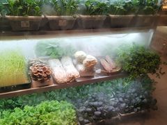 -鲜货俚鲜火锅(青果路店)