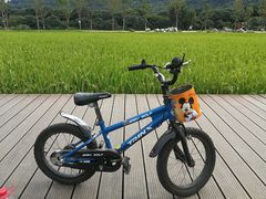 -艾米稻香小镇