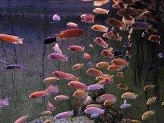 -蓬莱欧乐堡海洋极地世界