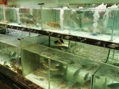 -中百生活剧场(泛海城市广场店)