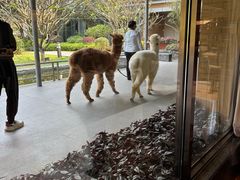 -南宁荔园维景国际酒店·荔园中餐厅