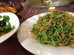 -大眼锅贴饺子(河西店)