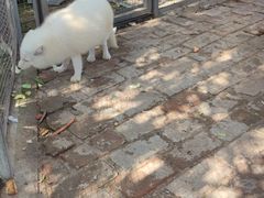 -武汉紫薇都市田园