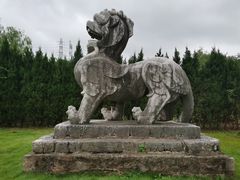 -囿面传统制面馆(中央路店)