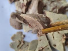 -小朱羊肉面馆(周东路)