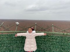 -黄海国家森林公园