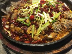 老板恋上鱼-老板恋上鱼(恒隆广场店)