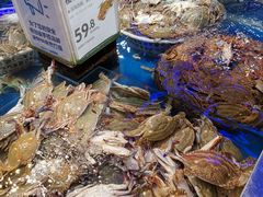 -盒马X会员店(王府井奥莱UP TOWN店)