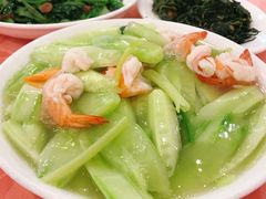 青瓜煮虾球-深运潮州粥(东门店)