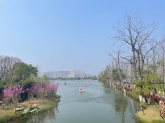 -洋湖国家湿地公园