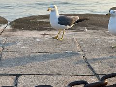 -星海广场