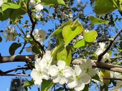 -哈密回王府景区