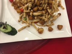 -碧丽宫大酒店(召稼楼店)
