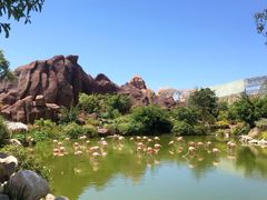 -芽庄珍珠岛游乐园