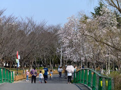 -白塘生态植物园