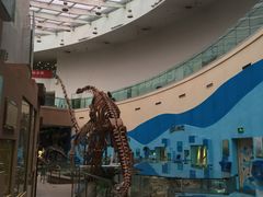 -陕西自然博物馆